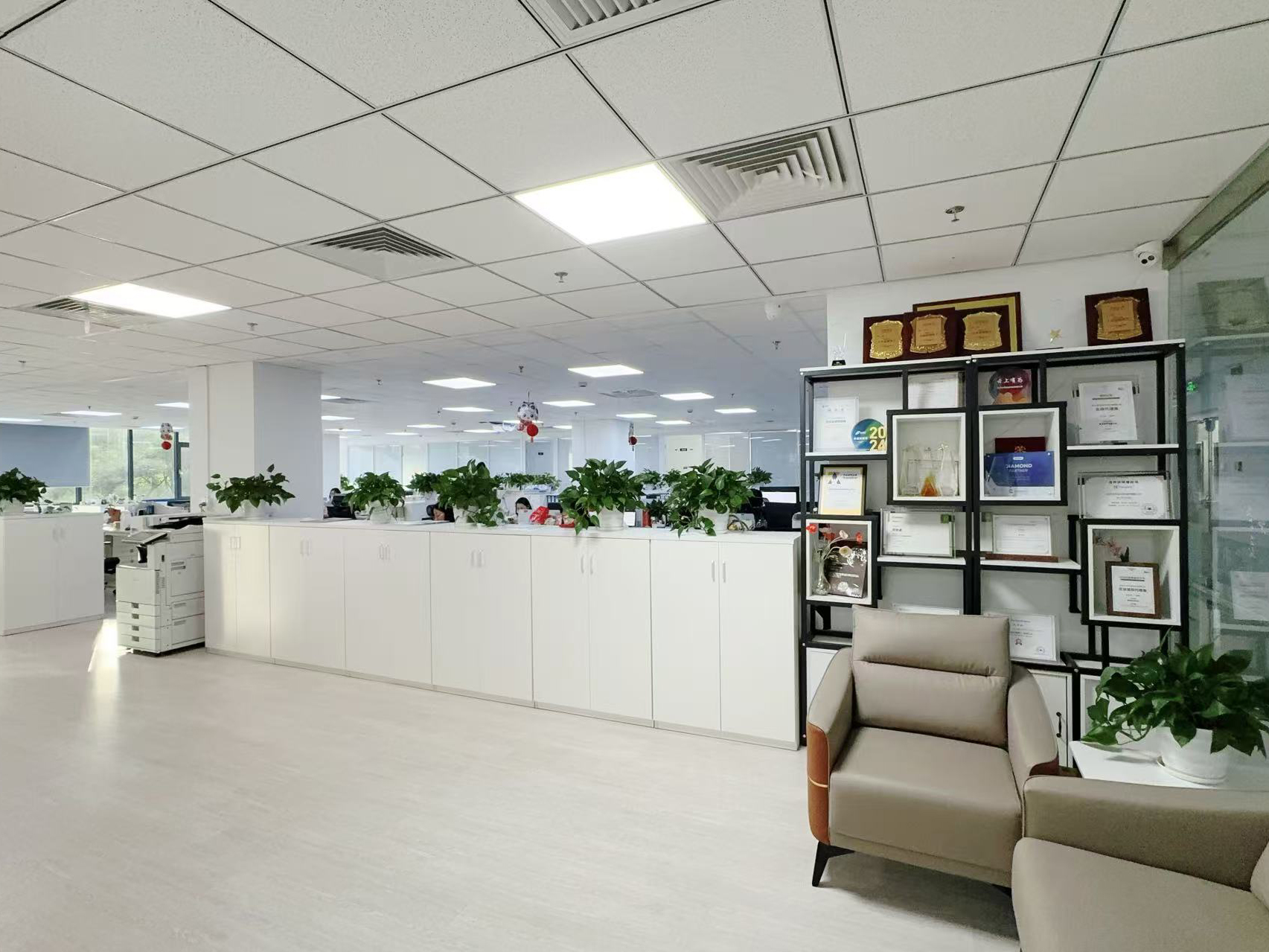 China Hong Kong Starsurge Group Co., Limited company profile