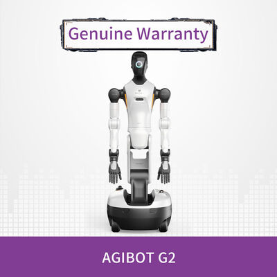 China AgiBot G2 Industrial-Grade Interactive Embodied Operation Robot