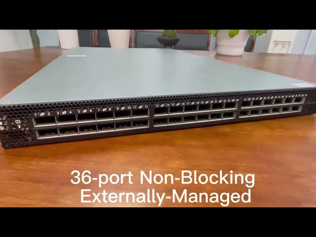 Mellanox 100GbE network switch-7890